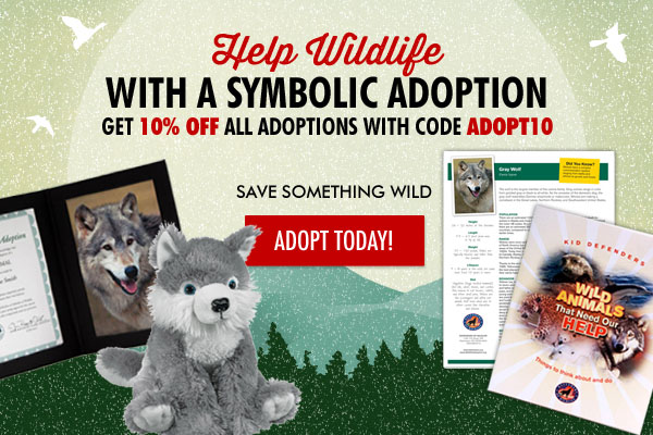 Adopt a Gray Wolf