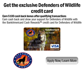 capital one credit card cash advance limit