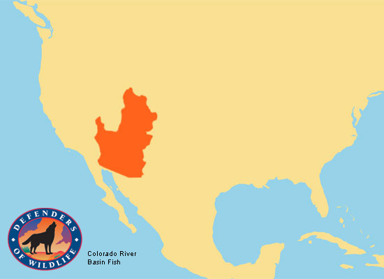 Colorado River Basin Fish Range Map