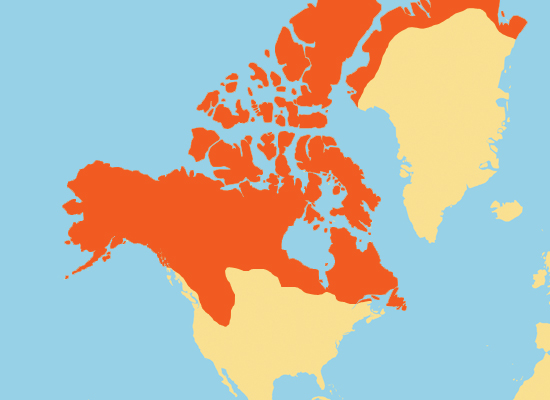 Gray Wolf Range Map