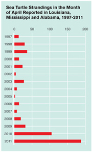 Sea Turtle Strandings, 1997-2011