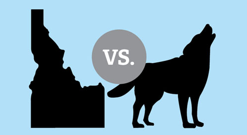 Idaho's War on Wolves Escalates Idaho's War on Wolves Escalates