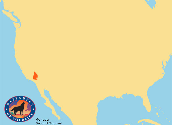 Mojave Ground Squirrel Range Map Mojave Ground Squirrel Range Map