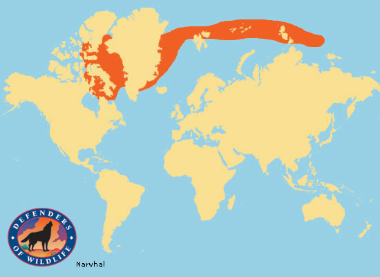 Narwhal Range Map