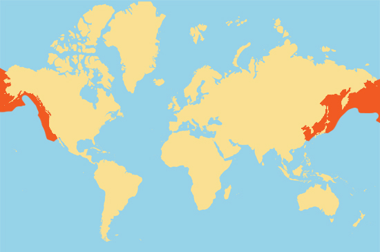 Northern Fur Seal Range Map