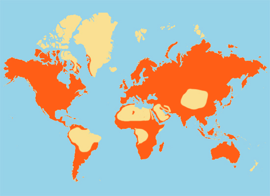 Peregrine Falcon Range Map