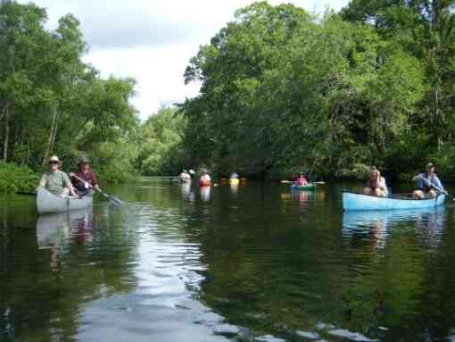 Wacissa River and Slave Canal kayaks