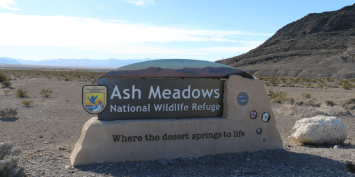 An official USFWS sign sits in the center of the photo and reads "Ash Meadows National Wildlife Refuge / Where the desert springs to life". Behind the the photo is blue skies and mountains in the distance.