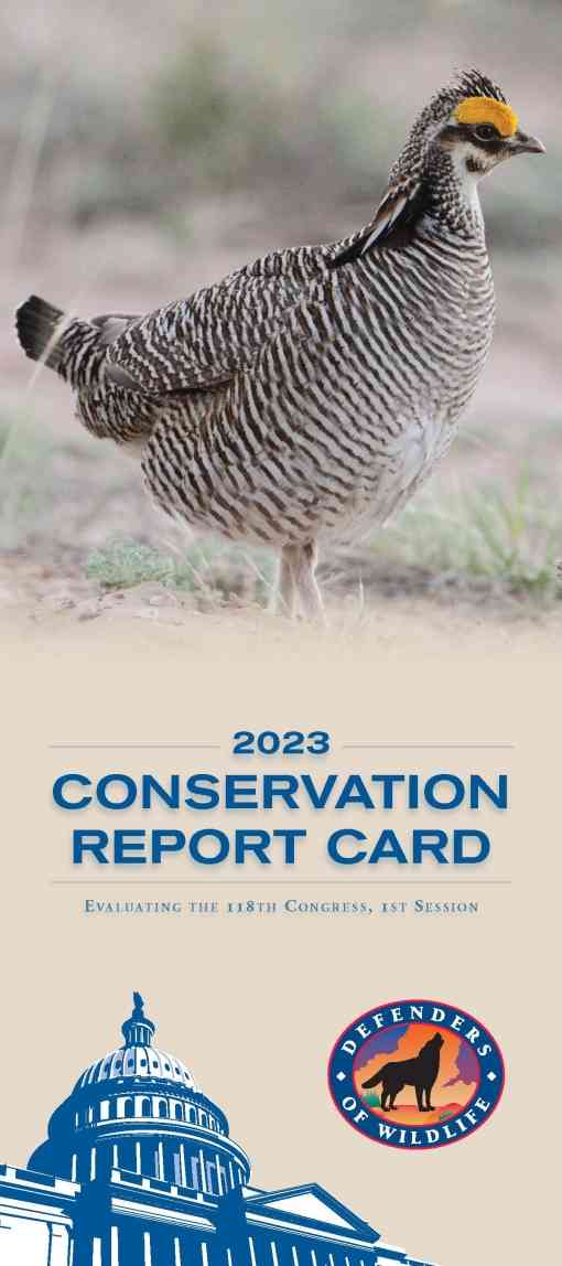 Conservation Report Card 2023