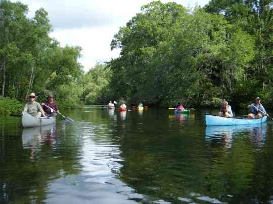 Wacissa River and Slave Canal kayaks