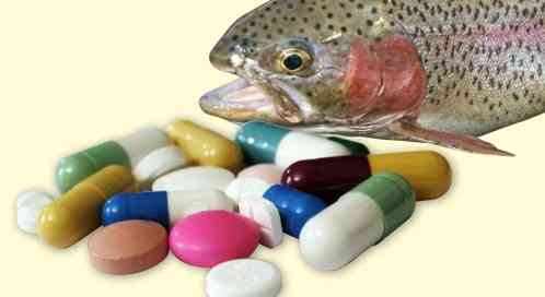 fish and pills
