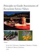 Principles to Guide Assessments of Ecosystem Service Values