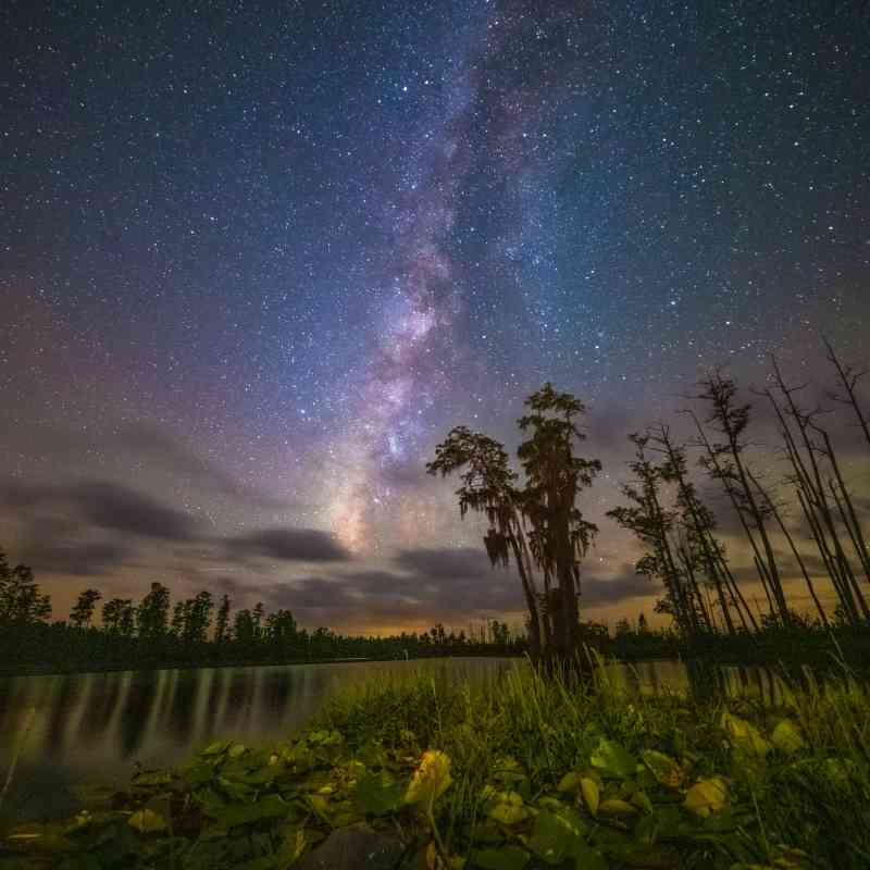 Milky way in the night sky Okefenokee NWR