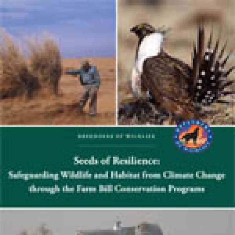Seeds of Resilience: Safeguarding Wildlife and Habitat from Climate Change through the Farm Bill Conservation Programs