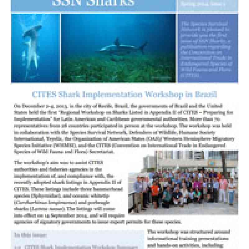 SSN Sharks: Spring 2014, Issue 1
