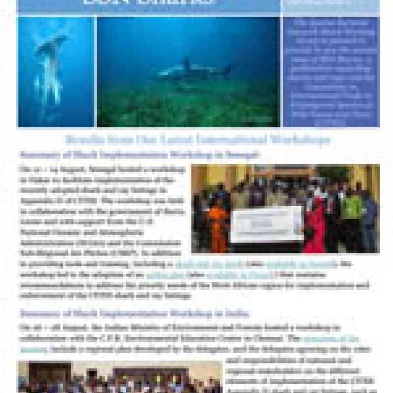 SSN Shark Newsletter Fall 2014