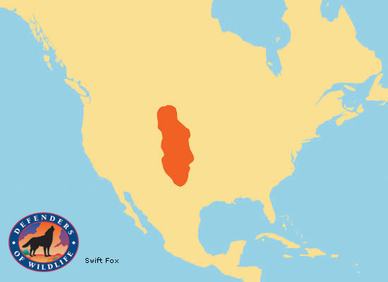 Swift Fox Range Map