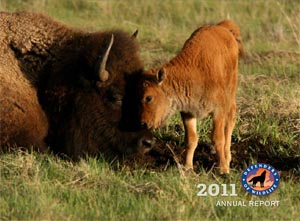 Defenders Annual Report 2011 Defenders Annual Report 2011