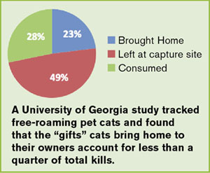 Pet cats and gifts graph Pet cats and gifts graph