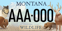 Montana License Plate Benefits Defenders of Wildlife