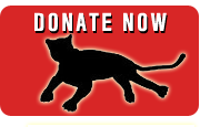 Donate Now for Florida Panthers