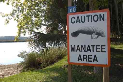 Manatee caution area sign 