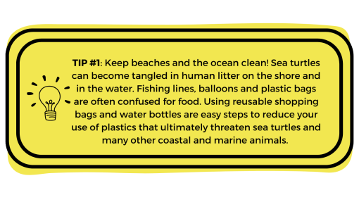 Yellow box with "Tip #1: Keep beaches and the ocean clean! Sea turtles can become tangled in human litter on the shore and in the water. Fishing lines, balloons and plastic bags are often confused for food. Using reusable shopping bags and water bottles are easy steps to reduce your use of plastics that ultimately threaten sea turtles and many other coastal and marine animals." written in it.