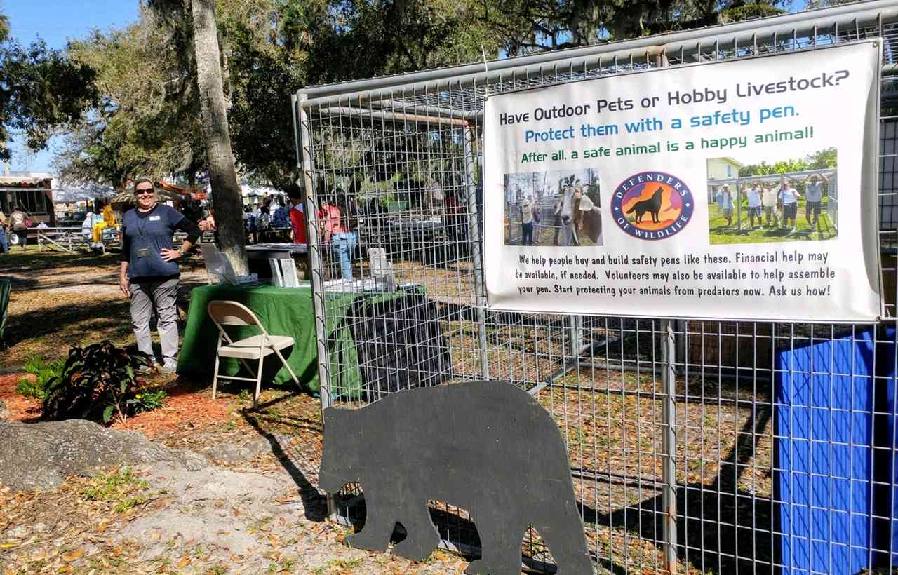 Livestock Pen at the Swamp Cabbage Festival in LaBelle, Florida