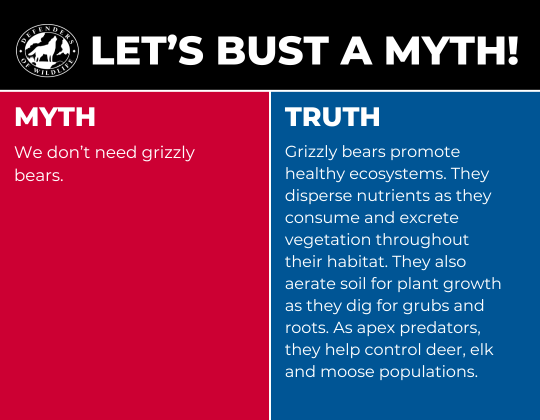 Let's Bust a Myth - Grizzly blog graphic 3
