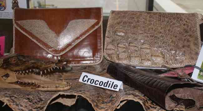 Crocodile skin handbags