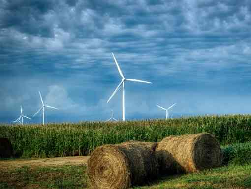 Wind Farm and Field