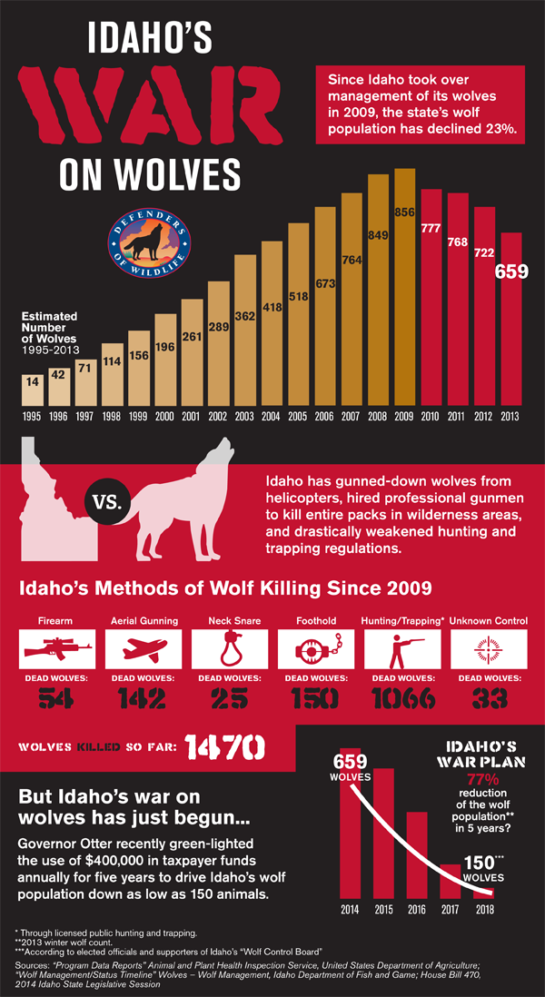 The War On Wolves Idaho's War On Wolves Defenders of Wildlife